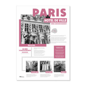 Infographie Paris "Hôtel de Ville" Rose